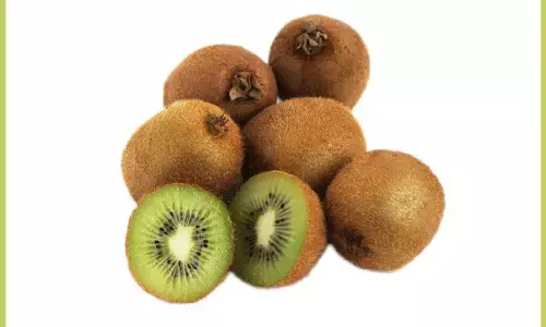 Kiwi Fruit : ఆ కివీ పండ్ల దిగుమతిని నిషేధించిన భారత్.. ఎందుకంటే..