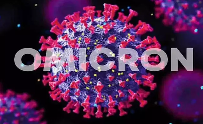 Omicron cases in Telangana: తెలంగాణలో ఒమిక్రాన్ కేసులు.. అధికారుల అప్రమత్తం..