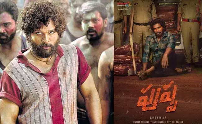Pushpa Movie :  పుష్ప ఎందుకు చూడాలి.. సినిమాలో ఉన్న ఇంట్రెస్టింగ్ ఫ్యాక్ట్స్ ఏంటి?