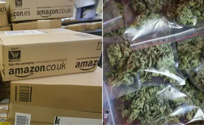 Ganja In Amazon: గంజాయి అమ్మకానికి అమెజానే వేదిక.. ఆ ముఠాకు కోట్లలో ఆదాయం..