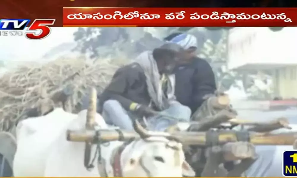 sangareddy : రోడ్డున పడ్డ రైతు.. మా బియ్యం కొనండి బాబూ అంటూ..! sangareddy : రోడ్డున పడ్డ రైతు.. మా బియ్యం కొనండి బాబూ అంటూ..!