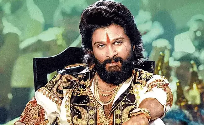 Pushpa: The Rule: పుష్ప పార్ట్ 2... ఏంటి కథ.. మరో పవర్‌ఫుల్ విలన్..!!