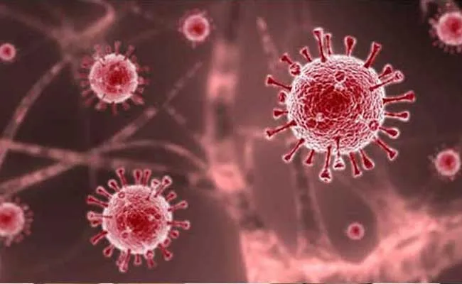 Omicron cases : ఏపీ, తెలంగాణలో పెరుగుతున్న ఒమిక్రాన్ కేసులు Omicron cases : ఏపీ, తెలంగాణలో పెరుగుతున్న ఒమిక్రాన్ కేసులు