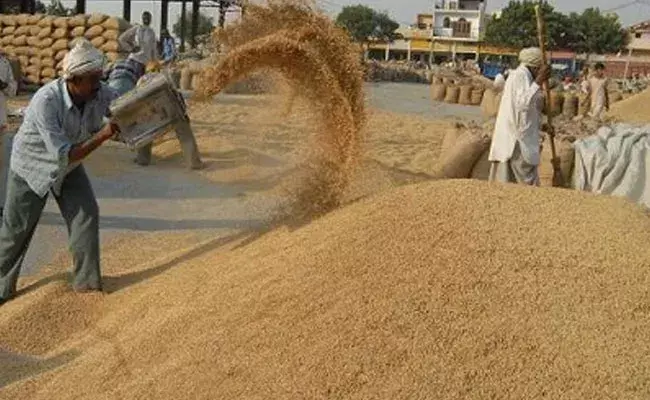 Paddy: ధాన్యం సేకరణ లెక్కలు బయటికి.. తెలంగాణలో ఇప్పటి వరకు.. Paddy: ధాన్యం సేకరణ లెక్కలు బయటికి.. తెలంగాణలో ఇప్పటి వరకు..