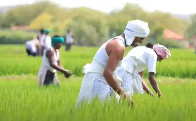 PM Kisan Samman Nidhi Yojana : రైతులకు కేంద్ర ప్రభుత్వం గుడ్న్యూస్..! PM Kisan Samman Nidhi Yojana : రైతులకు కేంద్ర ప్రభుత్వం గుడ్న్యూస్..!