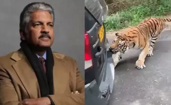 Anand Mahindra (tv5news.in) Anand Mahindra (tv5news.in)