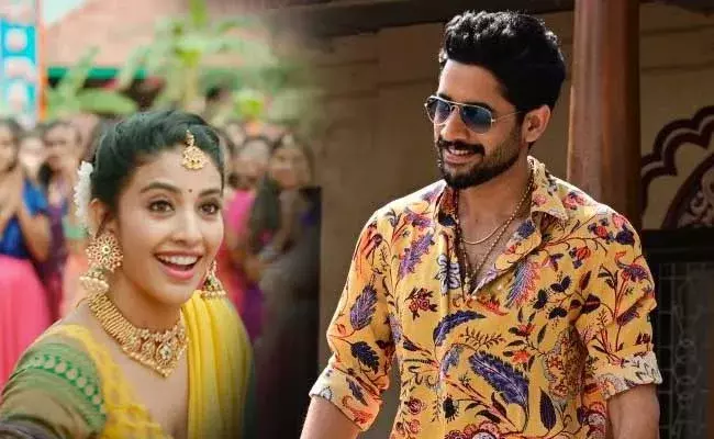 Kalyan Krishna : చైతూ బంగారం.. అంతా దక్షనే చేసింది... డైరెక్టర్ కామెంట్స్..!