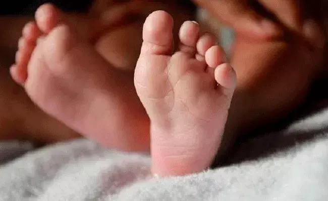 Odisha: బిడ్డ మృతిచెందిందని నిర్ధారించిన వైద్యులు.. ఖననం చేస్తున్న సమయంలో.. Odisha: బిడ్డ మృతిచెందిందని నిర్ధారించిన వైద్యులు.. ఖననం చేస్తున్న సమయంలో..