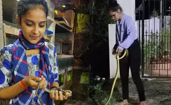 Karnataka : విషసర్పాలను చేతితో అలవోకగా.. ఈమె డేరింగ్ చూస్తే షాకే..! Karnataka : విషసర్పాలను చేతితో అలవోకగా.. ఈమె డేరింగ్ చూస్తే షాకే..!