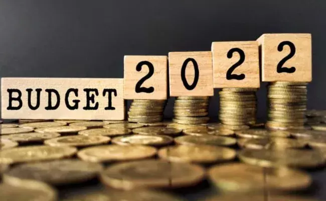 Budget 2022: కోవిడ్‌ సంక్షోభం మొదలైన తర్వాత రెండోసారి బడ్జెట్‌..