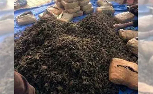 East Godavari: కంటైనర్లో 700 కేజీలు.. ఇన్నోవా కారులో 300 కేజీల గంజాయి.. మొత్తం విలువ రూ.2 కోట్లు.. East Godavari: కంటైనర్లో 700 కేజీలు.. ఇన్నోవా కారులో 300 కేజీల గంజాయి.. మొత్తం విలువ రూ.2 కోట్లు..