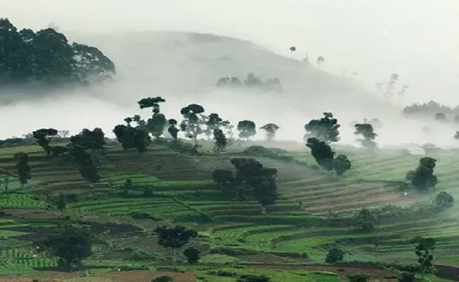AP Weather: ఏపీలో దట్టమైన పొగమంచు.. అతి తక్కువ ఉష్ణోగ్రత నమోదైన ప్రాంతం ఇదే.. AP Weather: ఏపీలో దట్టమైన పొగమంచు.. అతి తక్కువ ఉష్ణోగ్రత నమోదైన ప్రాంతం ఇదే..
