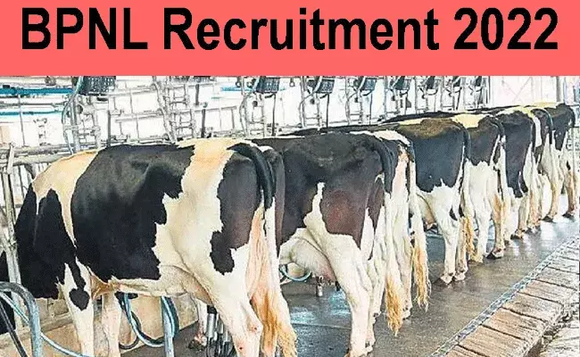 BPNL Recruitment 2022 : టెన్త్, ఇంటర్, డిగ్రీ అర్హతతో BPNLలో ఉద్యోగాలు.. జీతం రూ. 21,700 BPNL Recruitment 2022 : టెన్త్, ఇంటర్, డిగ్రీ అర్హతతో BPNLలో ఉద్యోగాలు.. జీతం రూ. 21,700