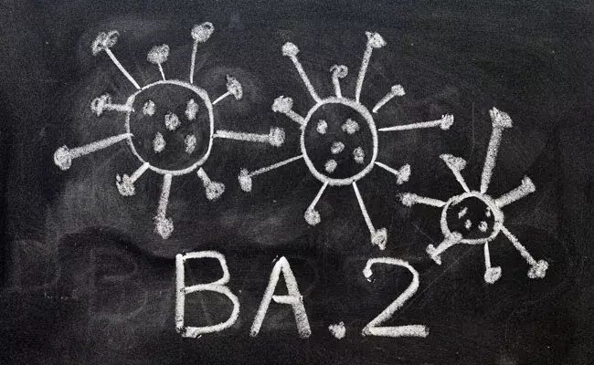 Omicron BA.2: కరోనా నుండి కొత్త సబ్ వేరియంట్.. ఒమిక్రాన్ బీఏ.2 వేరియంట్గా.. Omicron BA.2: కరోనా నుండి కొత్త సబ్ వేరియంట్.. ఒమిక్రాన్ బీఏ.2 వేరియంట్గా..