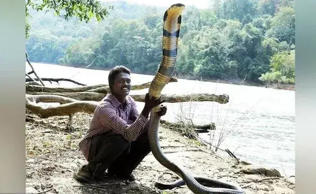 Vava Suresh (tv5news.in)