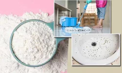 uses of sodium carbonate: సోడియం కార్బోనేట్‌తో ఎన్ని ఉపయోగాలో..