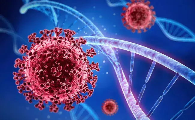 Corona Cases in Telangana: కొత్త వేవ్ల భయం అక్కర్లేదు: వైద్యశాఖ Corona Cases in Telangana: కొత్త వేవ్ల భయం అక్కర్లేదు: వైద్యశాఖ