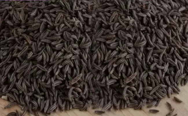 Block Jeera: నల్ల జీలకర్రతో ఉపయోగాలు.. జుట్టు నల్లగా, చర్మం మృదువుగా.. Block Jeera: నల్ల జీలకర్రతో ఉపయోగాలు.. జుట్టు నల్లగా, చర్మం మృదువుగా..