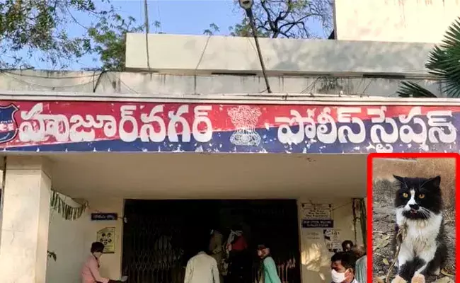 Huzurnagar: ఇలాంటి పంచాయతీ ఎక్కడా చూసుండరు..! పిల్లి కోసం గొడవ.. చివరికి పోలీస్ స్టేషన్ వరకు.. Huzurnagar: ఇలాంటి పంచాయతీ ఎక్కడా చూసుండరు..! పిల్లి కోసం గొడవ.. చివరికి పోలీస్ స్టేషన్ వరకు..