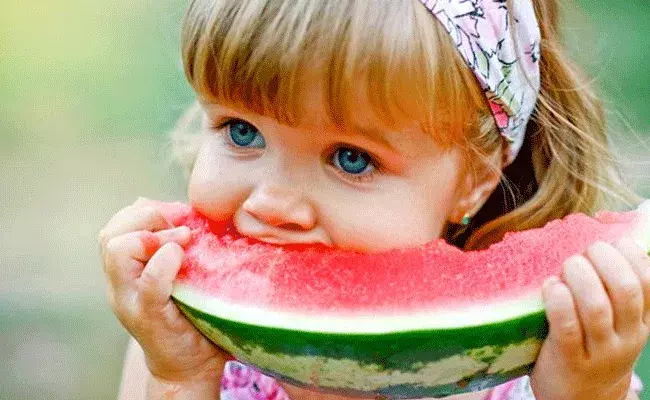 watermelon: వేసవి కాలంలో పుచ్చకాయ.. గుండె ఆరోగ్యానికి, క్యాన్సర్ నిరోధానికి.. watermelon: వేసవి కాలంలో పుచ్చకాయ.. గుండె ఆరోగ్యానికి, క్యాన్సర్ నిరోధానికి..