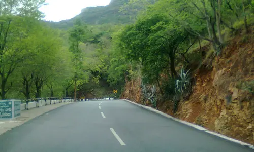 Tirumala Ghat Roads: ఘాట్ రోడ్లపై దృష్టిపెట్టిన టీటీడీ.. రంగంలోకి ప్రత్యేక బృందం..
