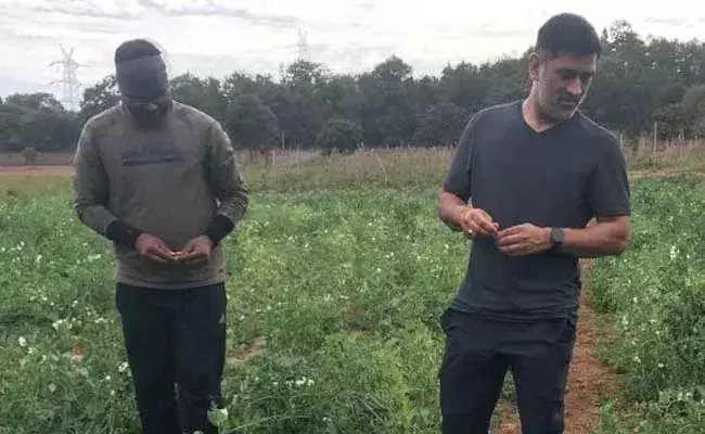 Dhoni :  రైతుగా మారిన భారత మాజీ క్రికెటర్‌ MS ధోనీ