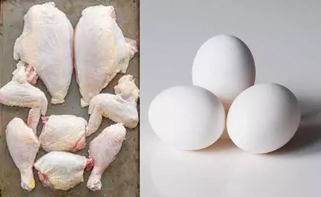 Sri Lanka : ఆహార సంక్షోభంలో శ్రీలంక.. కోడిగుడ్డు రూ. 35, కిలో చికెన్ రూ. 1000 Sri Lanka : ఆహార సంక్షోభంలో శ్రీలంక.. కోడిగుడ్డు రూ. 35, కిలో చికెన్ రూ. 1000