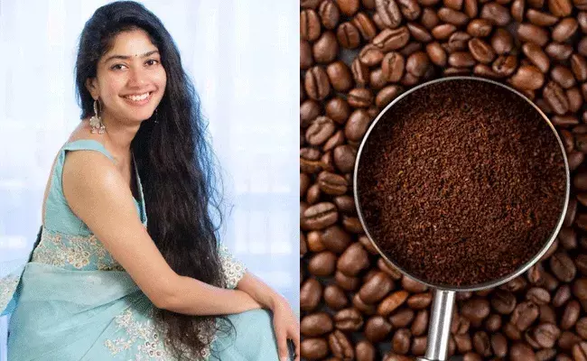 Coffee Seeds: కాఫీ గింజలతో కురులకు అందం.. జుట్టు ఆరోగ్యం కోసం హెయిర్ మాస్క్‌..