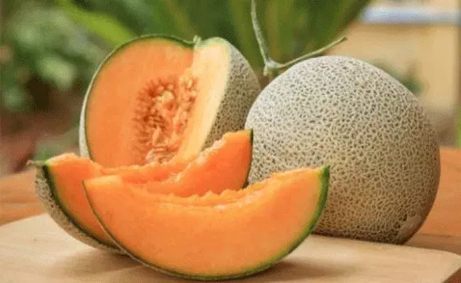 Muskmelon: వేసవిలో శరీరానికి అత్యంత ప్రయోజనకరమైన పండు కర్బూజ Muskmelon: వేసవిలో శరీరానికి అత్యంత ప్రయోజనకరమైన పండు కర్బూజ