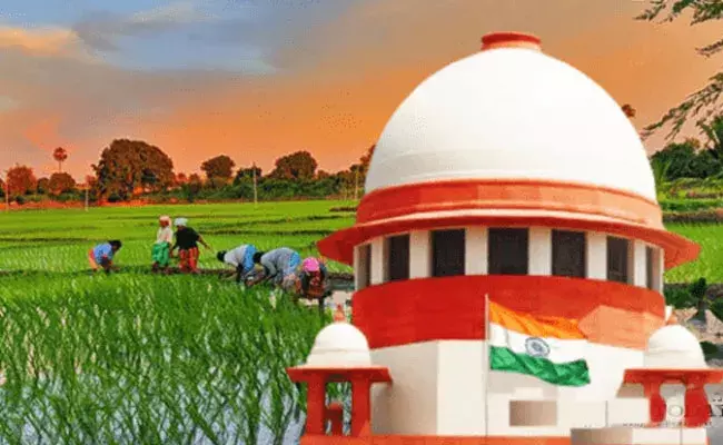 Farm Laws: సాగు చట్టాలపై సుప్రీం కోర్టు నిపుణుల కమిటీ నివేదిక.. Farm Laws: సాగు చట్టాలపై సుప్రీం కోర్టు నిపుణుల కమిటీ నివేదిక..