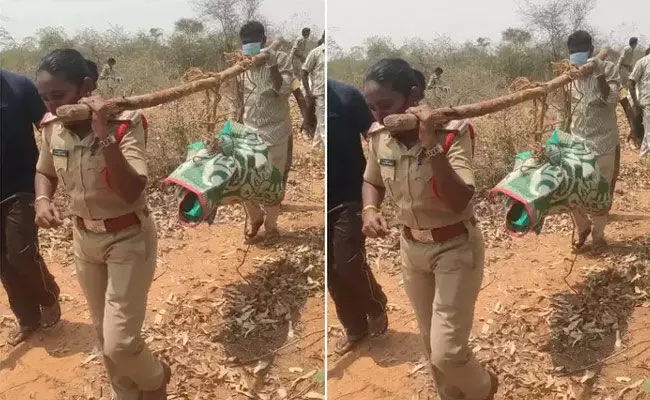 Prakasam: సగం కాలిన శవాన్ని మోసుకెళ్లారు.. లేడీ ఎస్ఐ శభాష్ అనిపించుకున్నారు.. Prakasam: సగం కాలిన శవాన్ని మోసుకెళ్లారు.. లేడీ ఎస్ఐ శభాష్ అనిపించుకున్నారు..