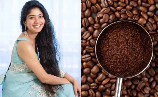 Coffee Seeds: కాఫీ గింజలతో కురులకు అందం.. జుట్టు ఆరోగ్యం కోసం హెయిర్ మాస్క్.. Coffee Seeds: కాఫీ గింజలతో కురులకు అందం.. జుట్టు ఆరోగ్యం కోసం హెయిర్ మాస్క్..