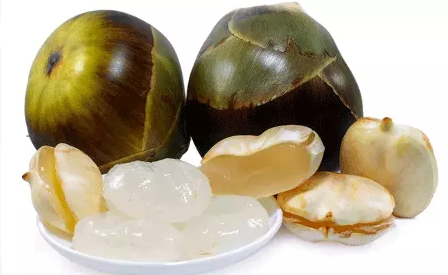 Ice apples: వేసవిలో తాటి ముంజలు.. ఆరోగ్య ప్రయోజనాలు Ice apples: వేసవిలో తాటి ముంజలు.. ఆరోగ్య ప్రయోజనాలు