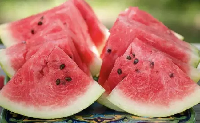 Watermelon seeds : మూత్రపిండాల సమస్యలకు చెక్ పెట్టె పుచ్చపండు గింజలు.. ! Watermelon seeds : మూత్రపిండాల సమస్యలకు చెక్ పెట్టె పుచ్చపండు గింజలు.. !