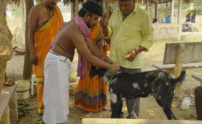 Krishna District: కృష్ణా జిల్లాలో వింత పెళ్లి.. జాతకంలో దోషం ఉందంటూ.. Krishna District: కృష్ణా జిల్లాలో వింత పెళ్లి.. జాతకంలో దోషం ఉందంటూ..