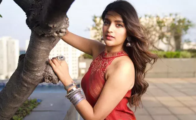 Nidhhi Agerwal (tv5news.in) Nidhhi Agerwal (tv5news.in)