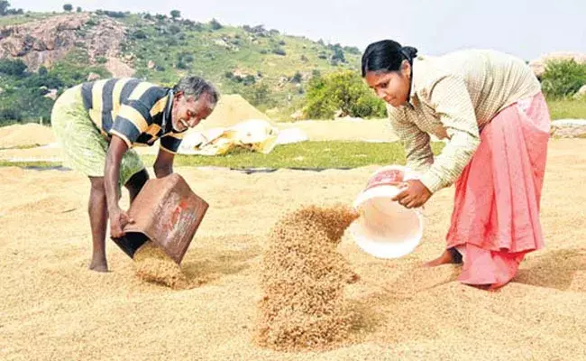 Telangana: ధాన్యం కొనుగోళ్లకు ముమ్మర ఏర్పాట్లు.. మద్దతు ధర ఎంతంటే..? Telangana: ధాన్యం కొనుగోళ్లకు ముమ్మర ఏర్పాట్లు.. మద్దతు ధర ఎంతంటే..?