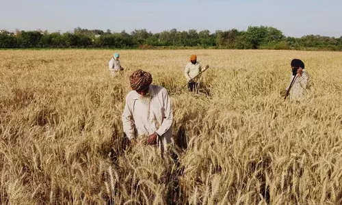 Telangana: ధాన్యం కొనుగోలు చుట్టూ తిరుగుతున్న తెలంగాణ రాజకీయాలు.. Telangana: ధాన్యం కొనుగోలు చుట్టూ తిరుగుతున్న తెలంగాణ రాజకీయాలు..