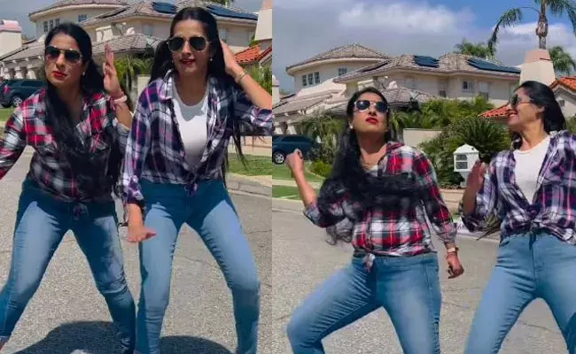 Laya: డీజే టిల్లు పాటకు సీనియర్ నటి స్టెప్పులు.. మాస్ డ్యాన్స్ అదరగొట్టిందిగా..!