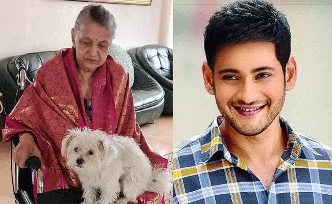 Mahesh Babu: అమ్మకు ప్రేమతో పుట్టిన రోజు శుభాకాంక్షలు.. ఒక రోజు నిజంగా సరిపోదు.. : మహేష్ బాబు ట్వీట్
