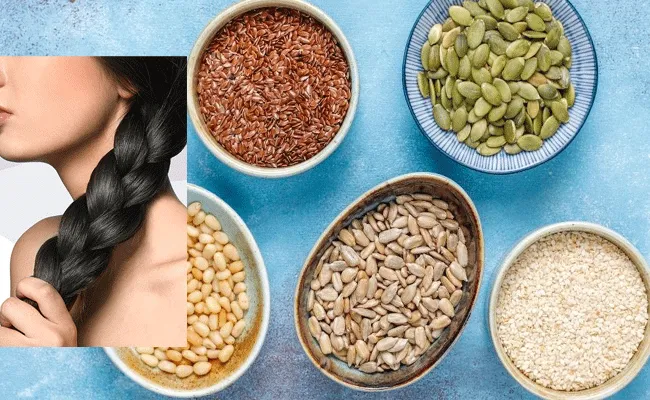 6 Seeds for Hair Growth: ఆరోగ్యమైన జుట్టు కోసం ఆరు విత్తనాలు.. రోజూ తీసుకుంటే..