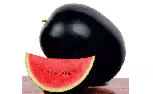 Costly Watermelon: వామ్మో.. పుచ్చకాయ ఖరీదు రూ.4 లక్షలంట.. ఎక్కడో తెలుసా!! Costly Watermelon: వామ్మో.. పుచ్చకాయ ఖరీదు రూ.4 లక్షలంట.. ఎక్కడో తెలుసా!!