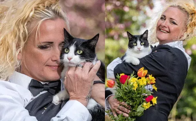 Woman Marries Cat: పిచ్చి పీక్స్.. పెంపుడు జంతువుపై ప్రేమ.. పిల్లిని పెళ్లి Woman Marries Cat: పిచ్చి పీక్స్.. పెంపుడు జంతువుపై ప్రేమ.. పిల్లిని పెళ్లి