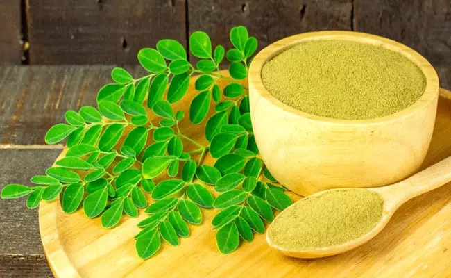 Moringa Leaves Benefits: మునగాకులో ఔషధగుణాలు.. అద్భుతమైన ఆరోగ్యప్రయోజనాలు.. Moringa Leaves Benefits: మునగాకులో ఔషధగుణాలు.. అద్భుతమైన ఆరోగ్యప్రయోజనాలు..