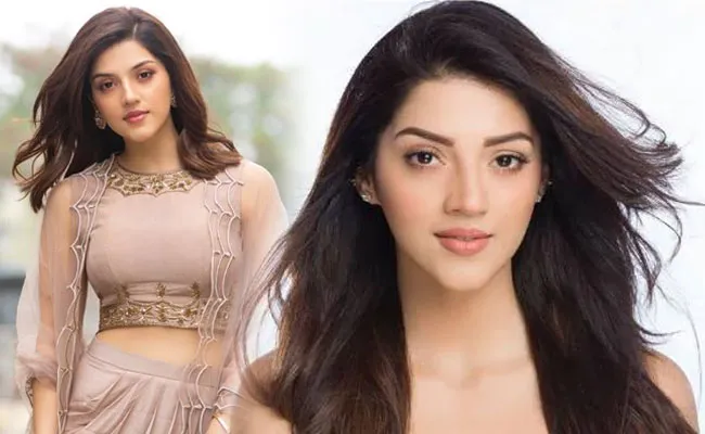 Mehreen Kaur: బంపర్ ఆఫర్ కొట్టేసిన పంజాబీ బ్యూటీ.. నందమూరి హీరోతో జోడీ.. Mehreen Kaur: బంపర్ ఆఫర్ కొట్టేసిన పంజాబీ బ్యూటీ.. నందమూరి హీరోతో జోడీ..