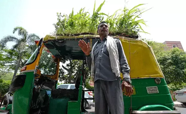 Beat the Heat: ఎండలు మండుతున్నాయ్.. ఎలా ఉంది నా ఐడియా: ఆటోరిక్షా వాలా Beat the Heat: ఎండలు మండుతున్నాయ్.. ఎలా ఉంది నా ఐడియా: ఆటోరిక్షా వాలా