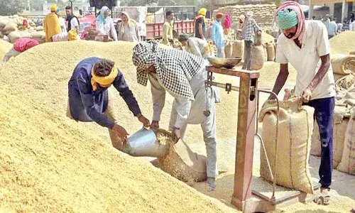 Telangana : ధాన్యం సరఫరాపై తెలంగాణ ప్రభుత్వానికి కేంద్రం చివరి అవకాశం
