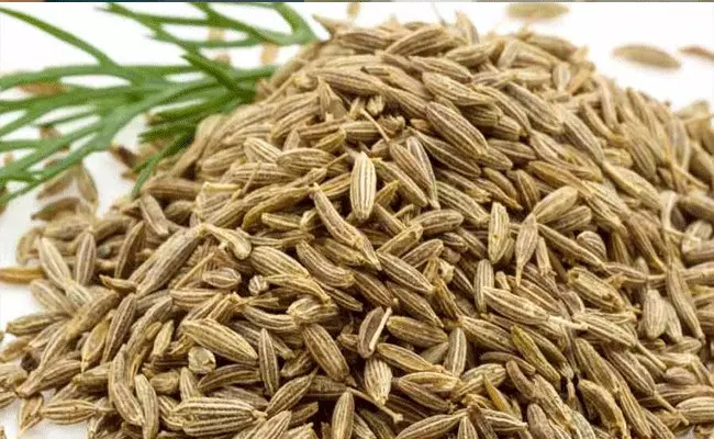 Cumin Seeds: జీలకర్ర ధరలు అమాంతం.. Cumin Seeds: జీలకర్ర ధరలు అమాంతం..