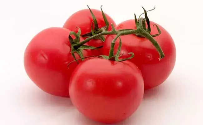 Tomato Rate : మళ్లీ పెరిగిన టమోటా ధరలు.. కిలో టమోట ఎంతంటే? Tomato Rate : మళ్లీ పెరిగిన టమోటా ధరలు.. కిలో టమోట ఎంతంటే?