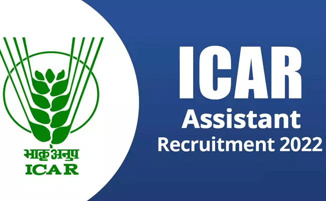 ICAR IARI Recruitment 2022: డిగ్రీ అర్హతతో ఇండియన్ అగ్రికల్చరల్ రీసెర్చ్ ఇనిస్టిట్యూట్ లో ఉద్యోగాలు.. జీతం రూ. 35,400-44,900 ICAR IARI Recruitment 2022: డిగ్రీ అర్హతతో ఇండియన్ అగ్రికల్చరల్ రీసెర్చ్ ఇనిస్టిట్యూట్ లో ఉద్యోగాలు.. జీతం రూ. 35,400-44,900